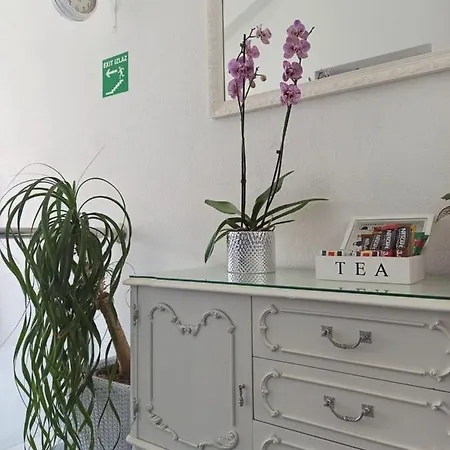 Mg Ravlic Sea View Lejlighed Makarska