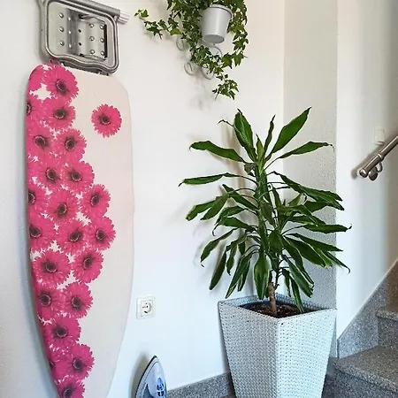 Mg Ravlic Sea View Lejlighed